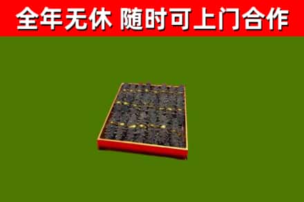 普宁回收海参